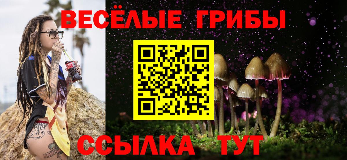 Псилоцибиновые грибы мицелий  Вход с VPN  Нижний Тагил 